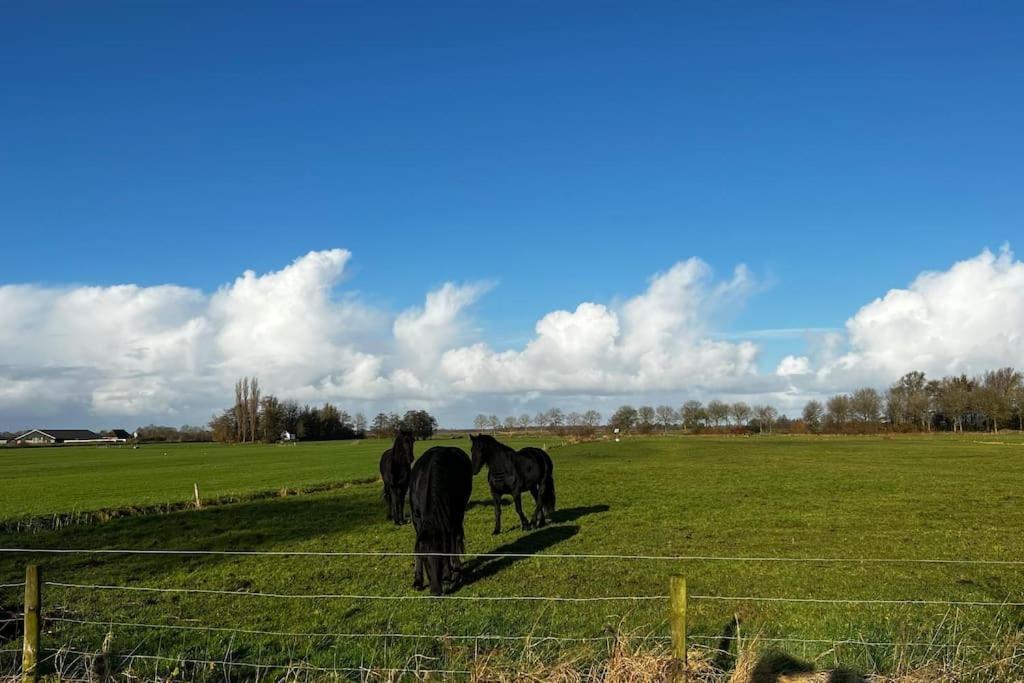 Puur Eastermar - Monumentaal, Authentiek En Luxe Koetshuis Aan Open Vaarwater Met Jacuzzi En Sauna Oostermeer Eksteriør billede